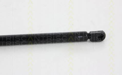 Buy Triscan 8710 29294 at a low price in United Arab Emirates!