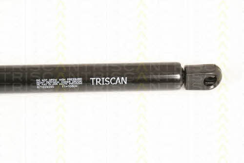 Gas Spring, boot-&#x2F;cargo area Triscan 8710 29295