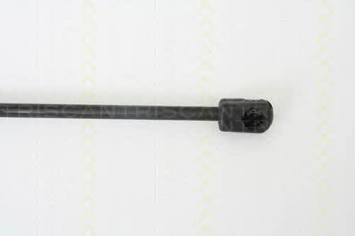 Triscan 8710 38218 Gas Spring, boot-/cargo area 871038218