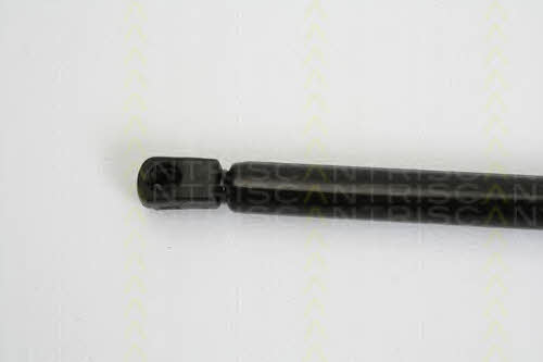 Gas Spring, boot-&#x2F;cargo area Triscan 8710 38222