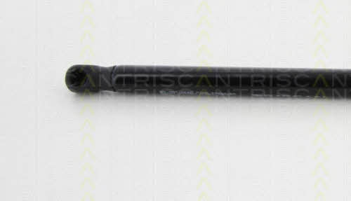 Gas Spring, boot-&#x2F;cargo area Triscan 8710 38234