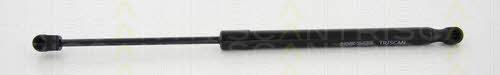 Tailgate strut Triscan 8710 38239