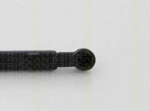 Triscan 8710 38242 Gas Roof Spring 871038242