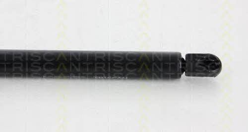 Gas Spring, boot-&#x2F;cargo area Triscan 8710 40232