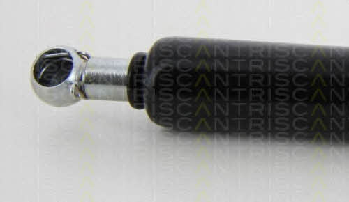 Gas Spring, boot-&#x2F;cargo area Triscan 8710 40233