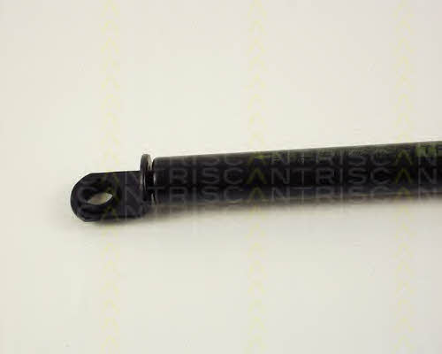 Gas Spring, boot-&#x2F;cargo area Triscan 8710 41208