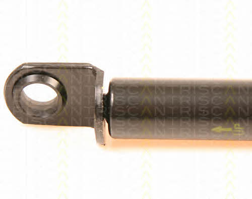 Gas Spring, boot-&#x2F;cargo area Triscan 8710 41209