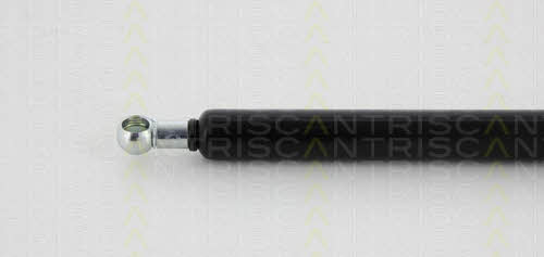 Gas Spring, boot-&#x2F;cargo area Triscan 8710 41215