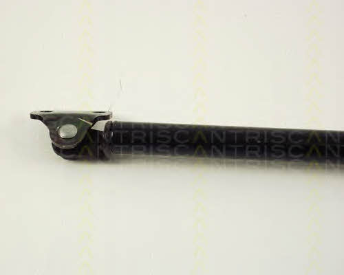 Gas Spring, boot-&#x2F;cargo area Triscan 8710 42205