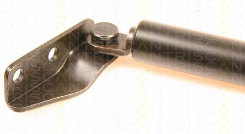 Gas Spring, boot-&#x2F;cargo area Triscan 8710 42212