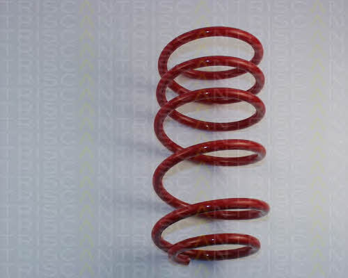 Suspension Spring Kit Triscan 8755 29002