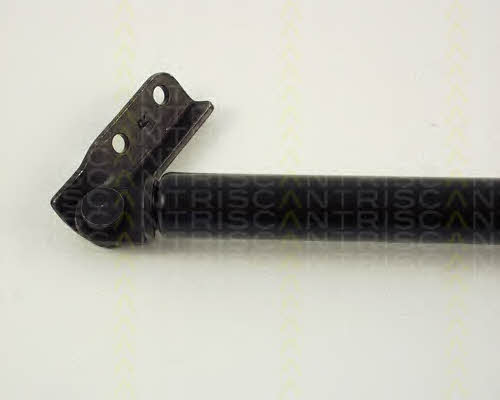 Gas Spring, boot-&#x2F;cargo area Triscan 8710 42217