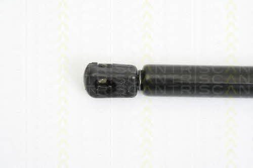Gas Spring, boot-&#x2F;cargo area Triscan 8710 42236