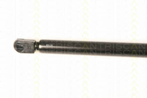 Gas Spring, boot-&#x2F;cargo area Triscan 8710 43232