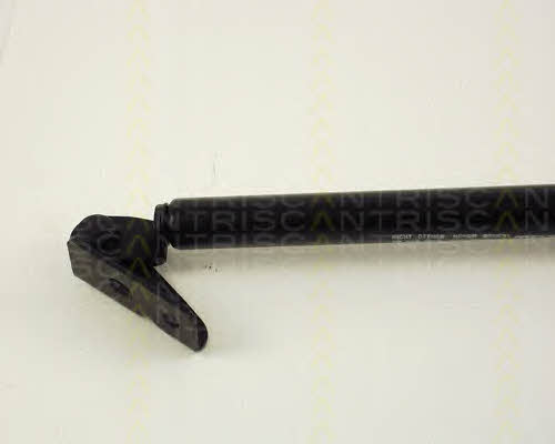 Gas Spring, boot-&#x2F;cargo area Triscan 8710 50204