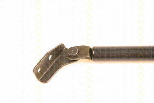 Gas Spring, boot-&#x2F;cargo area Triscan 8710 50233