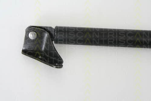 Gas Spring, boot-&#x2F;cargo area Triscan 8710 50240
