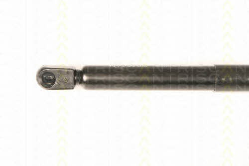 Gas Spring, boot-&#x2F;cargo area Triscan 8710 50246