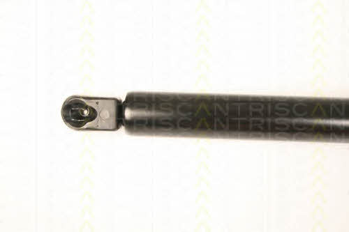 Gas Spring, boot-&#x2F;cargo area Triscan 8710 50247