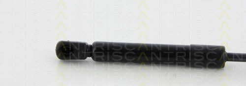 Gas Spring, boot-&#x2F;cargo area Triscan 8710 50250