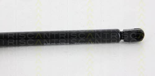 Buy Triscan 8710 66206 at a low price in United Arab Emirates!