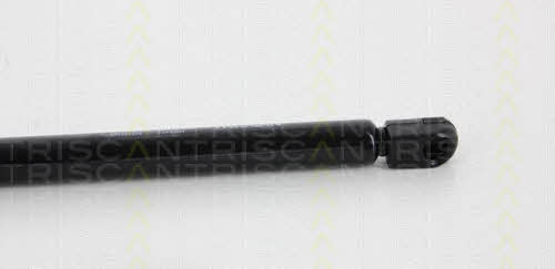 Gas Spring, boot-&#x2F;cargo area Triscan 8710 67216