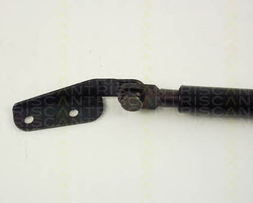 Gas Spring, boot-&#x2F;cargo area Triscan 8710 68202