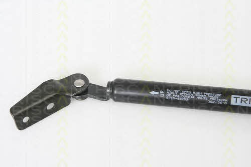 Gas Spring, boot-&#x2F;cargo area Triscan 8710 68209
