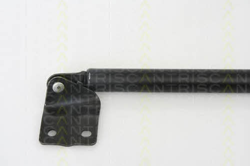 Gas Spring, boot-&#x2F;cargo area Triscan 8710 69216