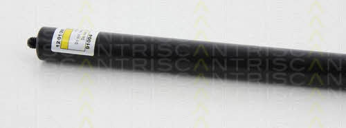 Gas Spring, boot-&#x2F;cargo area Triscan 8710 80209