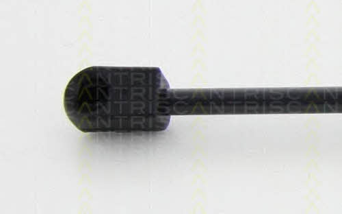 Gas Spring, boot-&#x2F;cargo area Triscan 8710 80213