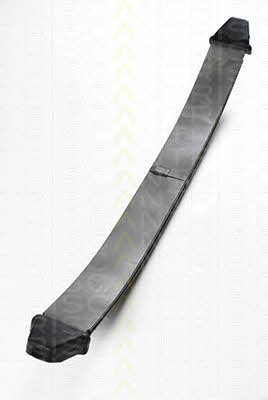 Triscan 8765 23002 Leaf spring 876523002 876523002 Triscan Leaf spring