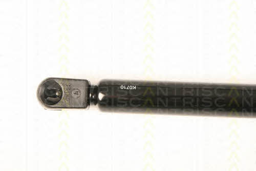 Gas Spring, boot-&#x2F;cargo area Triscan 8710 18227