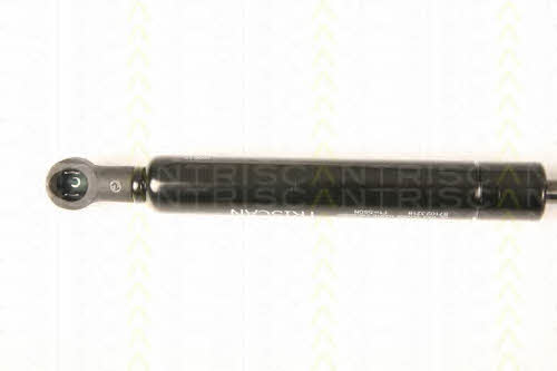 Gas Spring, boot-&#x2F;cargo area Triscan 8710 23218