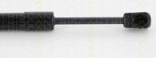 Gas Spring, boot-&#x2F;cargo area Triscan 8710 23223