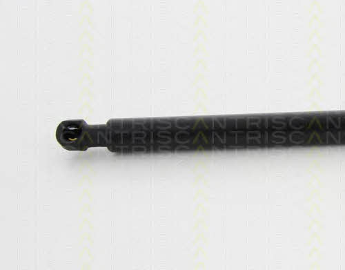 Gas Spring, boot-&#x2F;cargo area Triscan 8710 23233