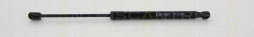 Tailgate strut Triscan 8710 23244