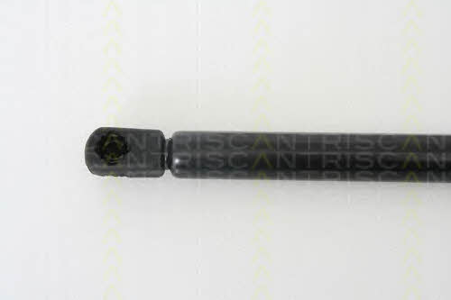 Gas Spring, boot-&#x2F;cargo area Triscan 8710 24228
