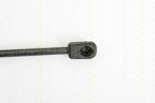 871024230 Triscan Tailgate strut