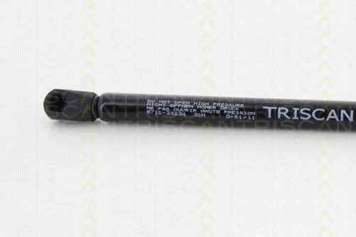Gas Spring, boot-&#x2F;cargo area Triscan 8710 24234