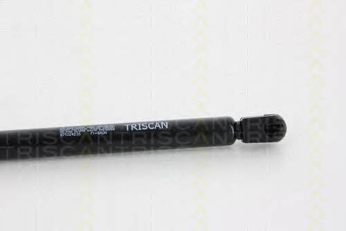 Gas Spring, boot-&#x2F;cargo area Triscan 8710 24235
