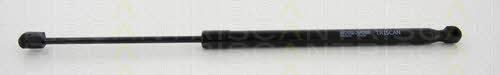 Tailgate strut Triscan 8710 24242
