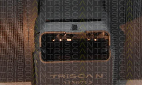 Air mass sensor Triscan 8812 28003