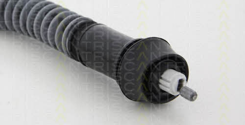 Triscan 8140 28255A Clutch cable 814028255A