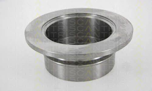 Triscan 8120 23195C Rear brake disc, non-ventilated 812023195C