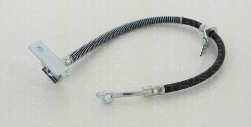Flexible brake line KIA Venga (Kia Venga): 815018176 Triscan Brake Hose