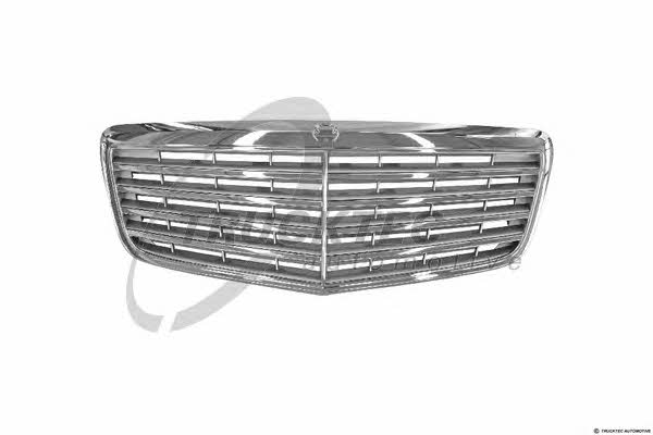 Trucktec 02.60.213 Grille radiator 0260213