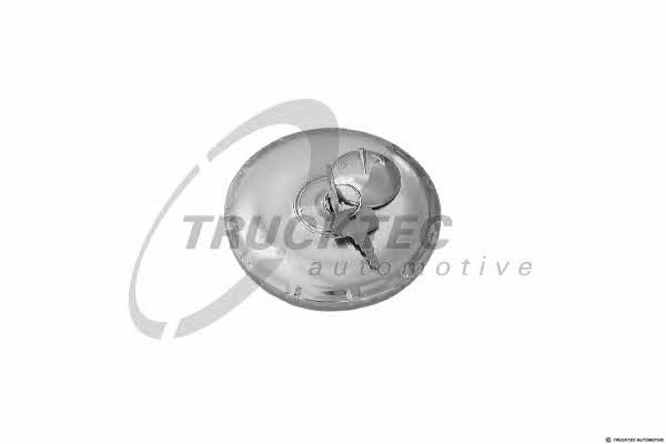 Trucktec 01.38.041 Fuel Door Assembly 0138041