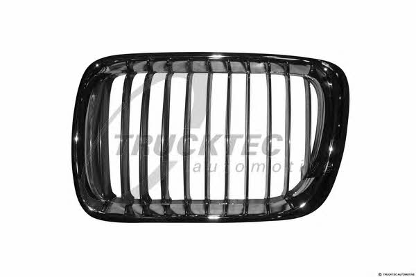 Trucktec 08.62.228 Grille radiator 0862228