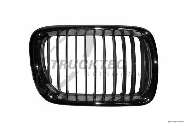 Trucktec 08.62.256 Grille radiator 0862256